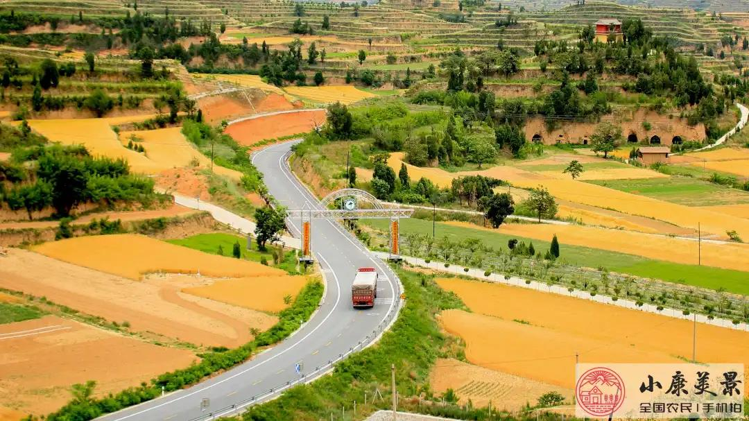 鄉(xiāng)村振興《2020年全國農民“小康美景手機拍”攝影作品（第四輯）》《山東出臺鄉(xiāng)鎮(zhèn)政府工作條例》