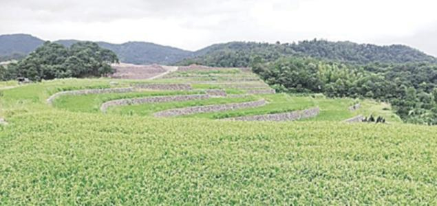 水利部辦公廳關于進一步優(yōu)化開發(fā)區(qū)內生產建設項目水土保持管理工作的意見