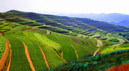 關(guān)于水土保持補償費等四項非稅收入劃轉(zhuǎn)稅務(wù)部門征收的通知